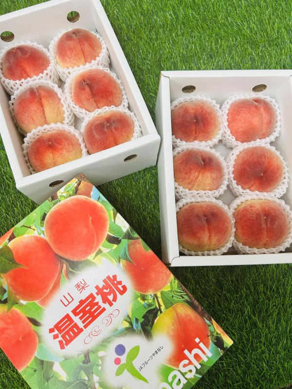 <少量零購>日本山梨溫室白鳳桃 
