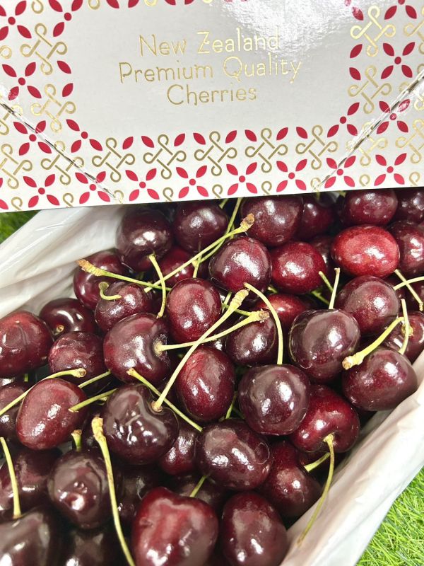 <破盤價>紐西蘭櫻花櫻桃【30mm+】 