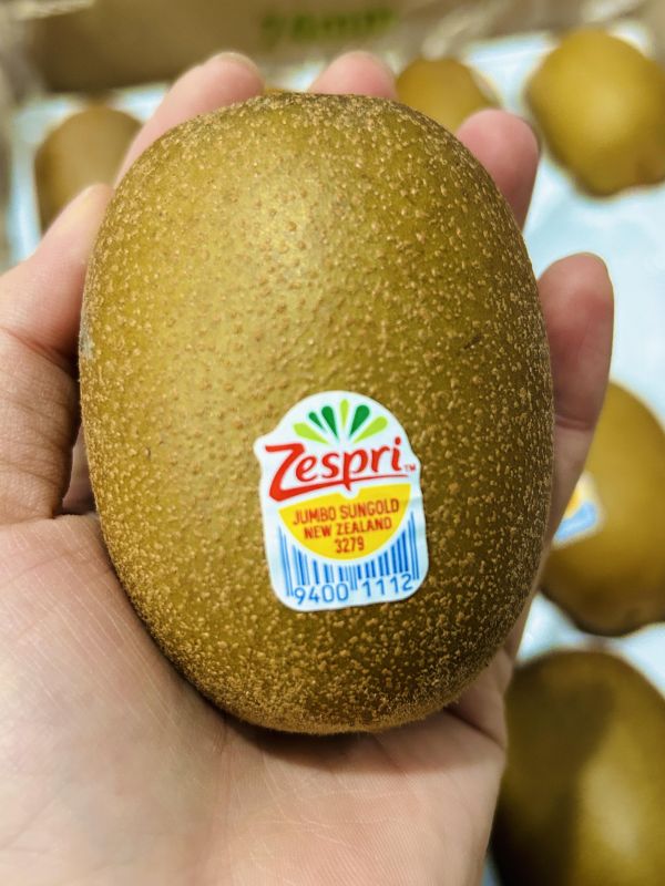 紐西蘭黃金奇異果22規原裝 