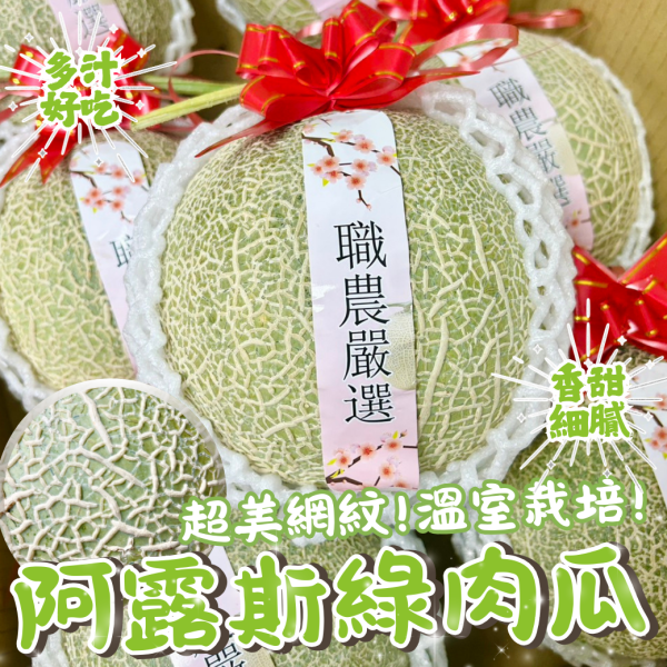 【巨無霸】阿露斯綠肉哈密瓜 