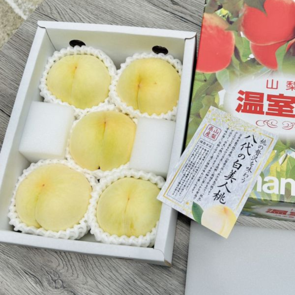 《限量》山梨溫室白美人 