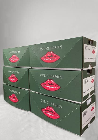 紐西蘭大嘴巴櫻桃【28m】 