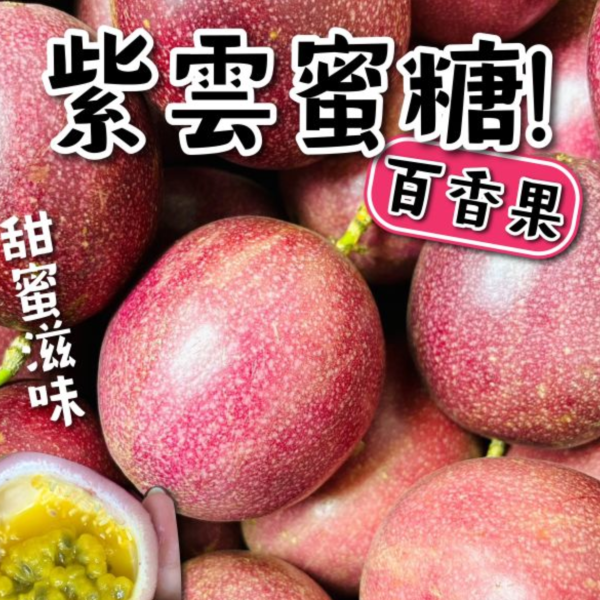 新品種-紫雲糖蜜百香果 