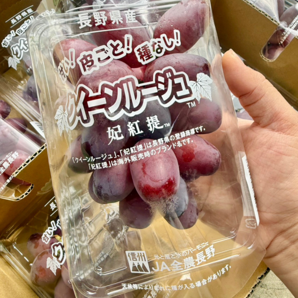 日本長野妃紅緹PC盒 