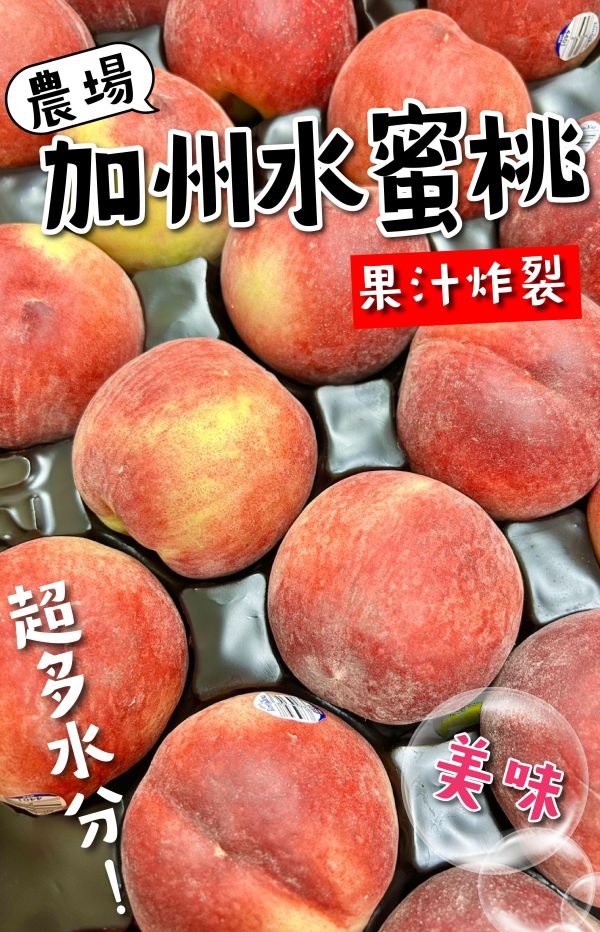 加州水蜜桃【21/22品規】 