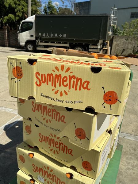 <少量零購>澳洲砂糖橘 
