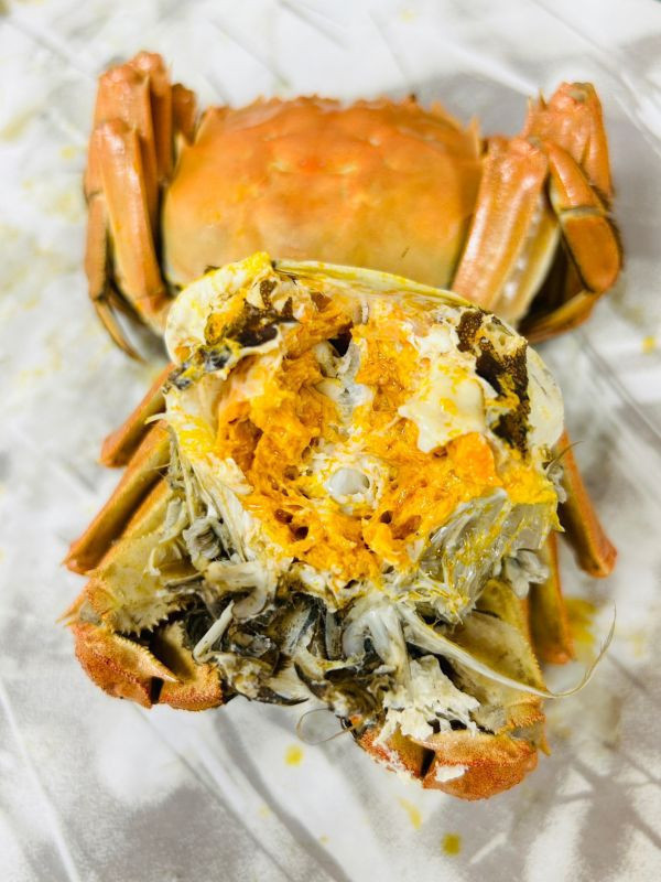 <2A巨無霸>江蘇大閘蟹【5.8~6.4兩】 