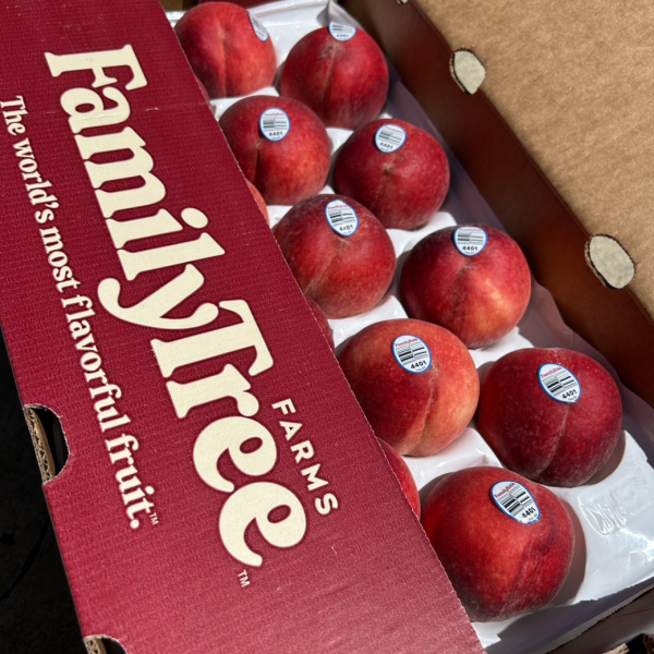 Family Tree加州水蜜桃 