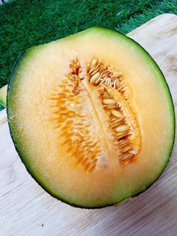 <少量零購>佩洛斯哈密瓜 