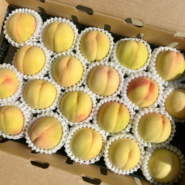 加州壽康水蜜桃 