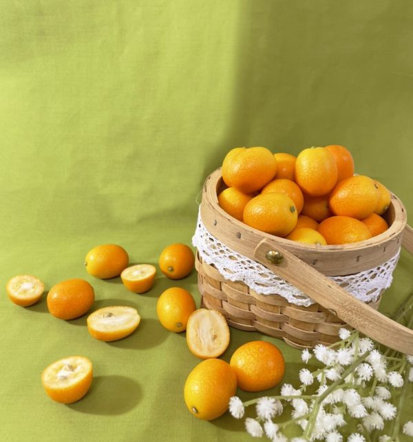 <少量零購>日本宮崎縣金桔 