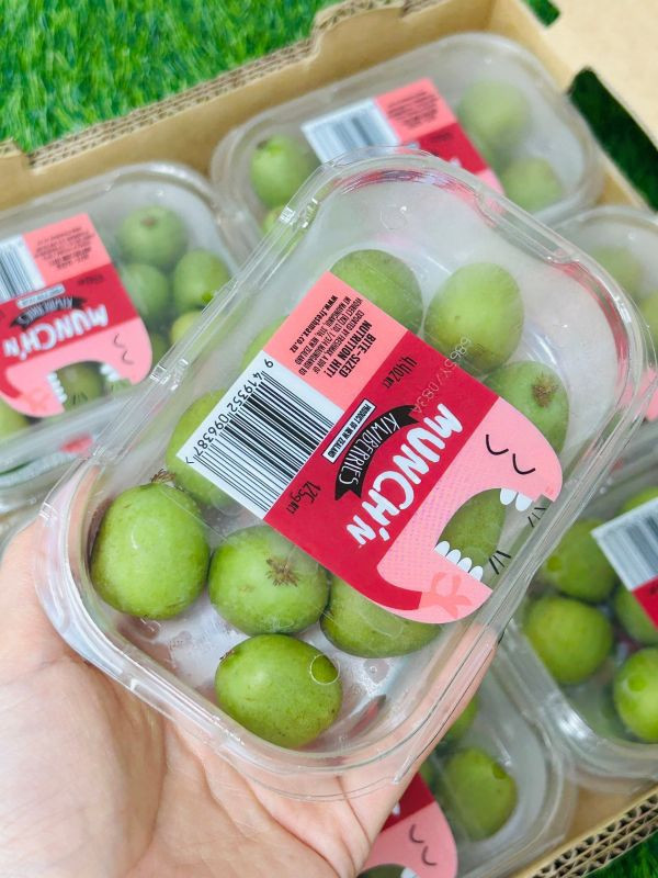 紐西蘭寶貝奇異果 