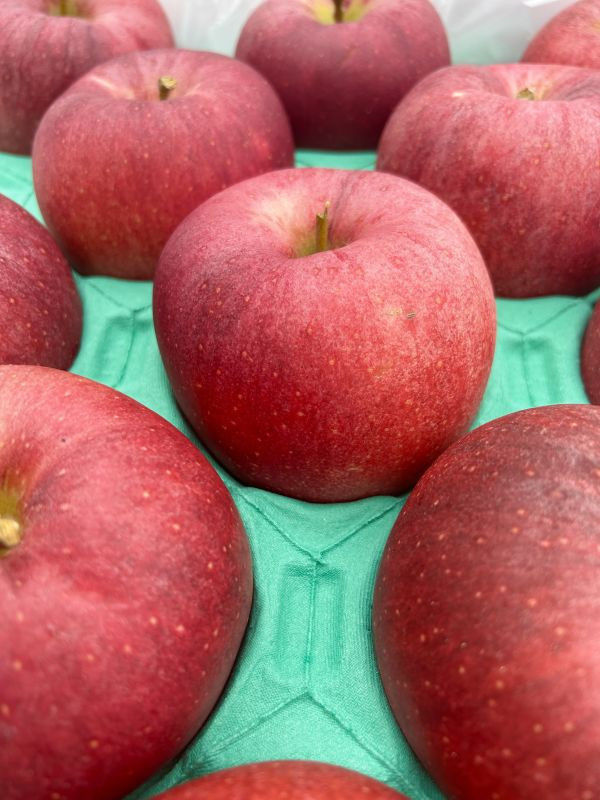 <少量零購>(大果)日本青森大紅榮蘋果26規 