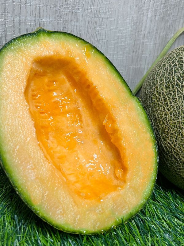 <少量專區>卡蜜拉(優惠下殺) 