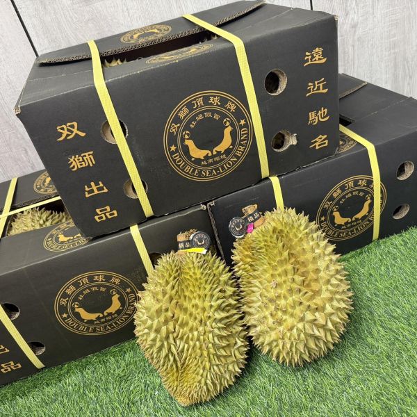 雙獅牌金枕頭 
