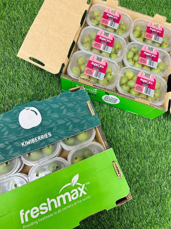 紐西蘭寶貝奇異果 