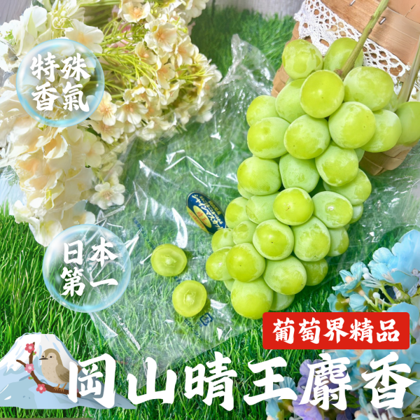 岡山晴王麝香葡萄 