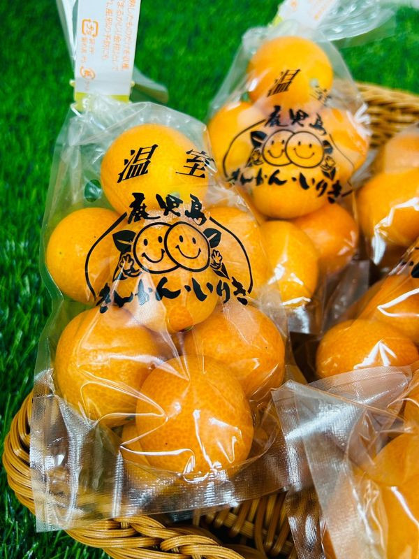 <少量零購>日本鹿兒島金桔 