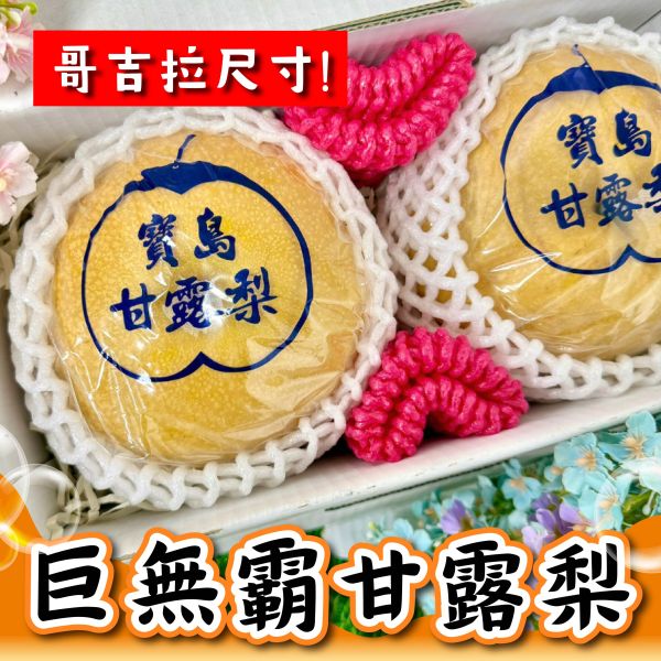 <中秋熱銷>巨無霸甘露梨2入手提禮 