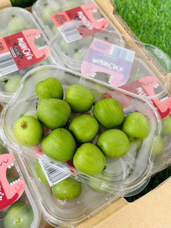 紐西蘭寶貝奇異果 