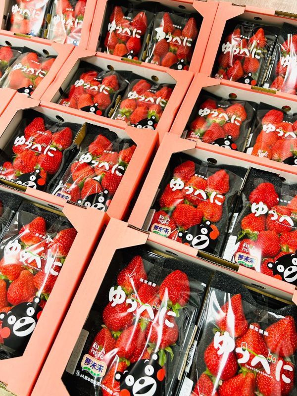 【限定組合】櫻桃x草莓組 