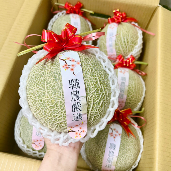 【巨無霸】阿露斯綠肉哈密瓜 