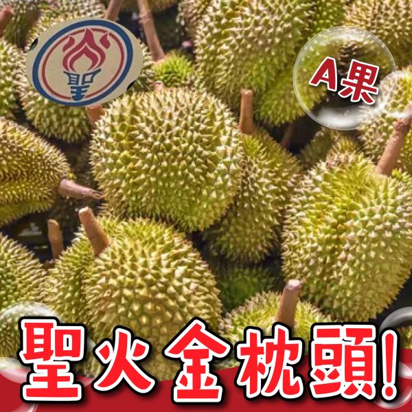 加重版【聖火】金枕頭榴槤 