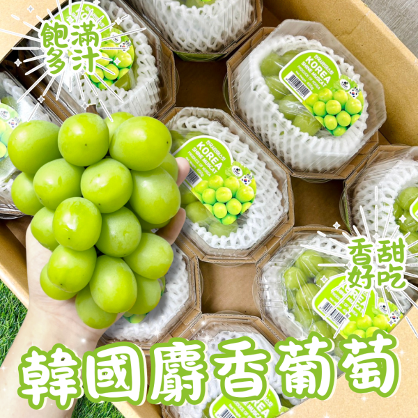 韓國麝香葡萄 