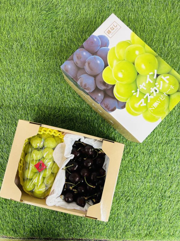 <年節禮盒>S017韓國麝香櫻桃禮盒 