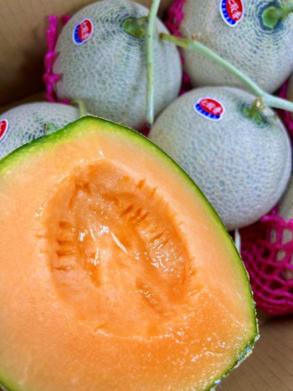 七股香紅肉哈密瓜 