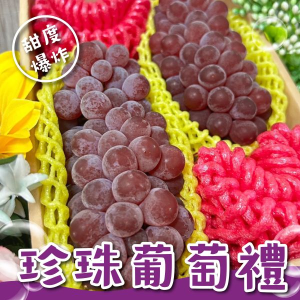 <精緻禮盒>日本珍珠葡萄雙串禮盒 