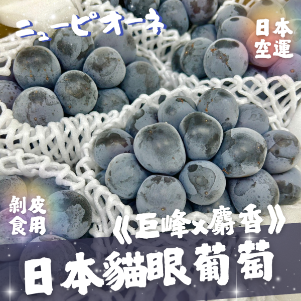 日本貓眼葡萄 