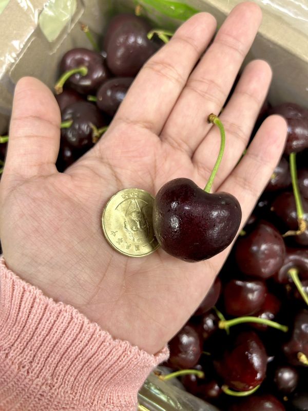 【30mm】智利<猴子櫻桃> 