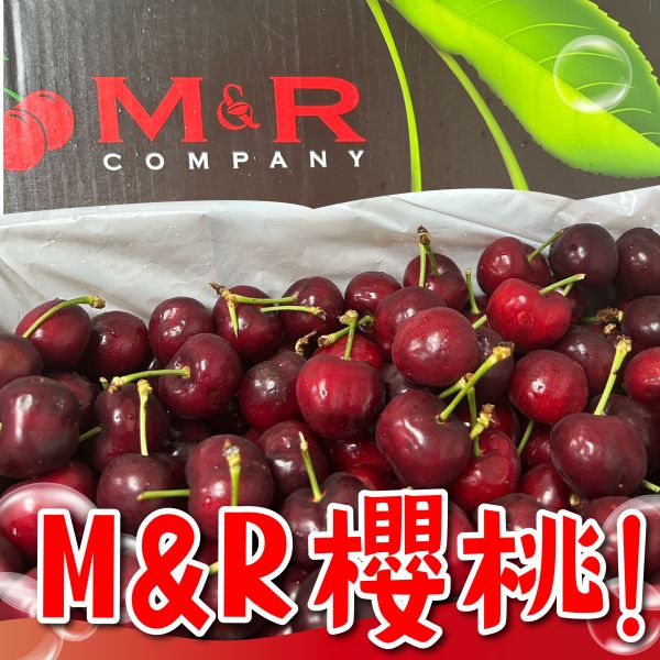M&R空運櫻桃【9.5R】 