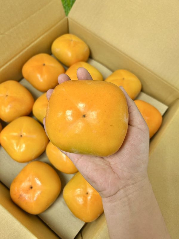 <少量零購>和歌山【たねなし】甜柿 