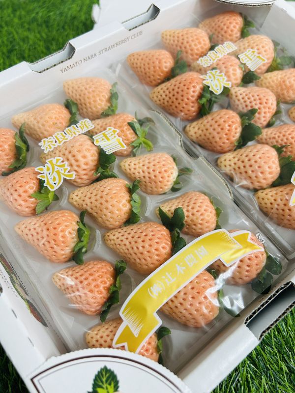 日本奈良淡雪草莓 