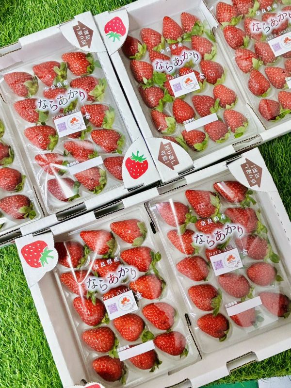 【奈良之光】古都華草莓 