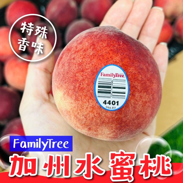 Family Tree加州水蜜桃【24/25規】 