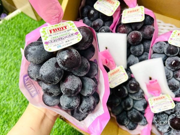 <少量零購>日本長野紫泡泡葡萄 