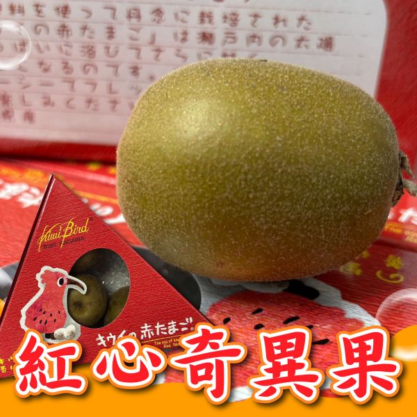 日本香川紅心奇異果 