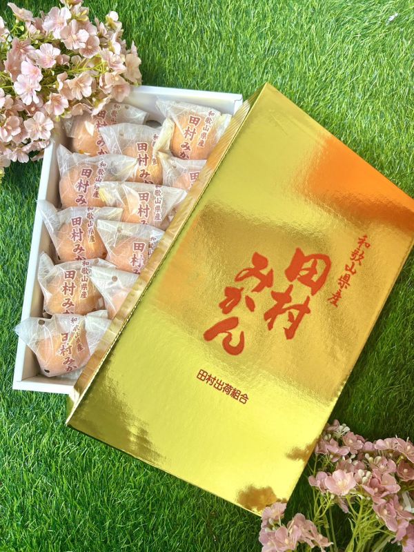 和歌山田村蜜柑 