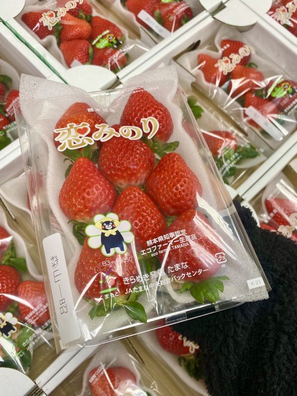 日本熊本草莓(限時下殺) 