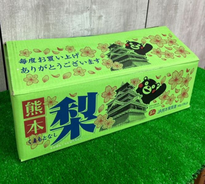 熊本吉野梨 