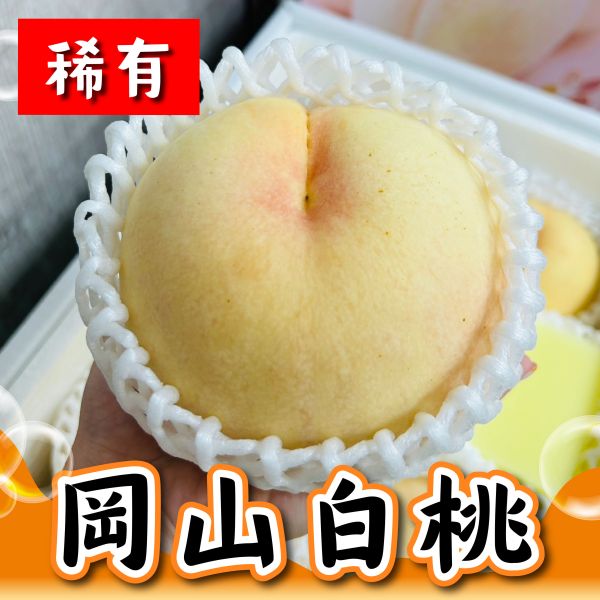【稀有】日本岡山白桃 