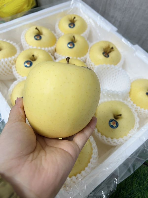 <少量零購>日本青森金星牛奶蘋果 