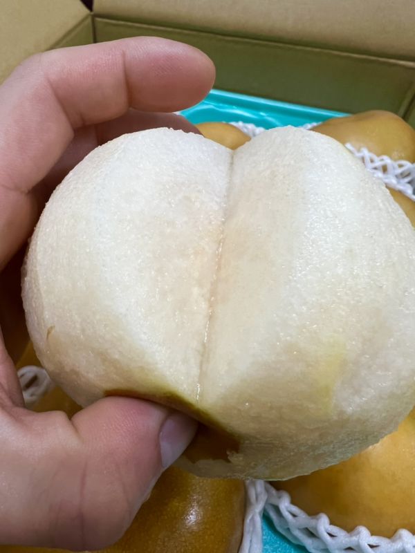 日本長野信洲南水梨 