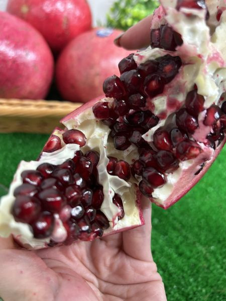 <少量零購>美國紅石榴 