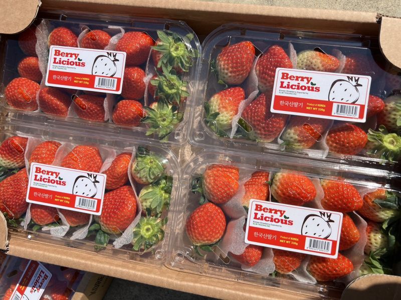 <當日配送>韓國空運草莓 