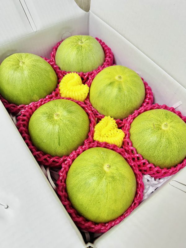 <中秋熱銷>脆甜多汁【翠妞甜瓜】 