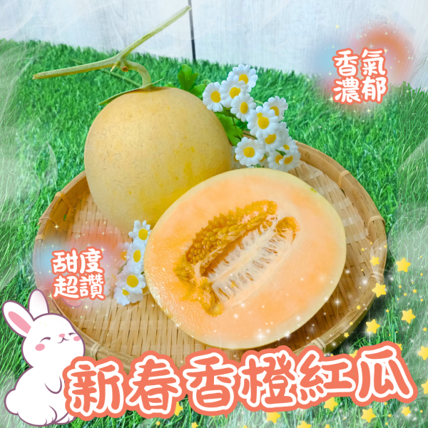 新春香橙紅瓜 